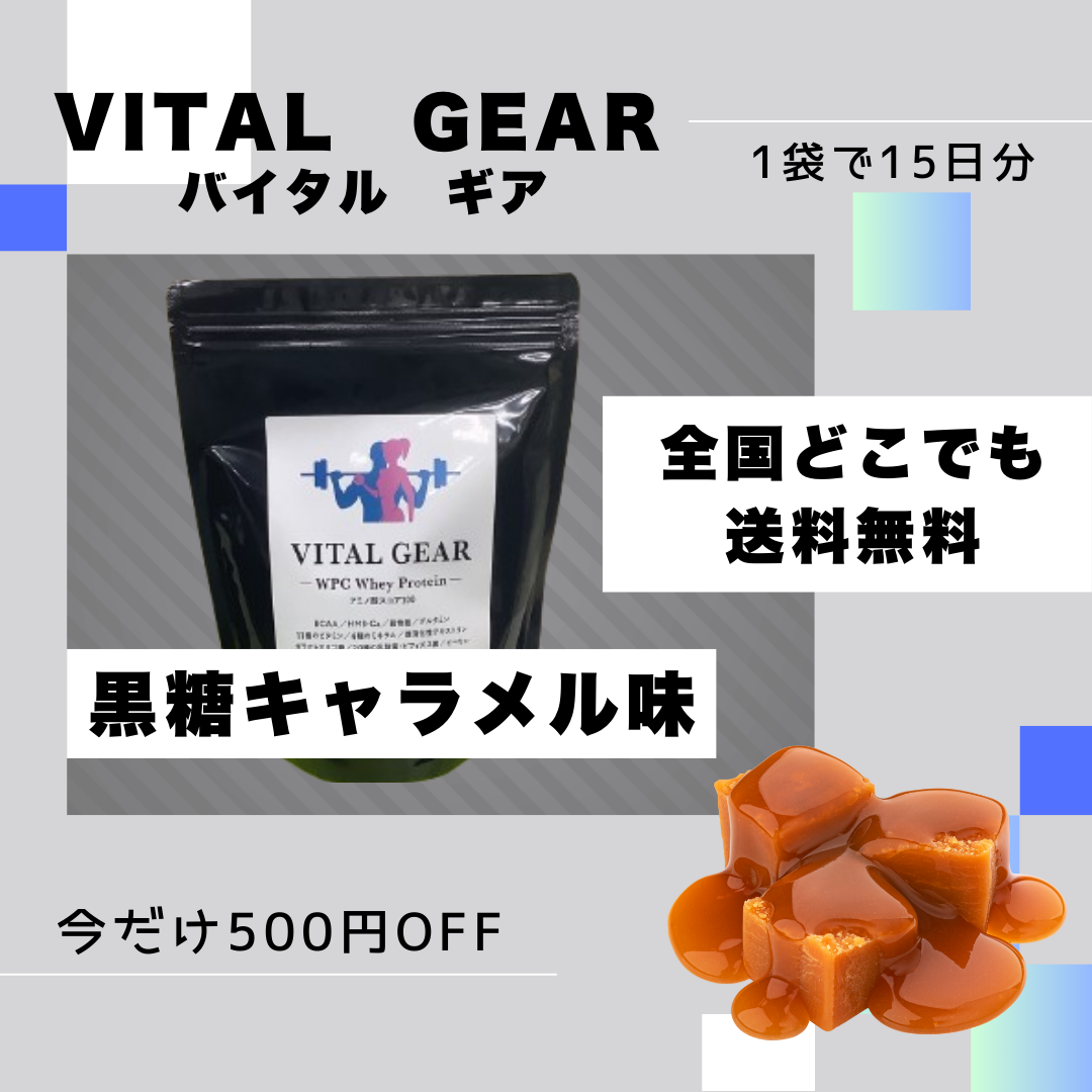 VITALGEAR(黒糖キャラメル味) 1個 | 【公式】魔女のプロテイン